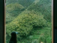 -杨家堂村