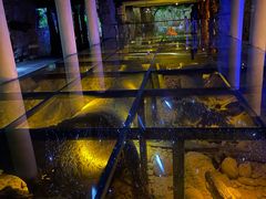 -乐山乌木文化博览苑