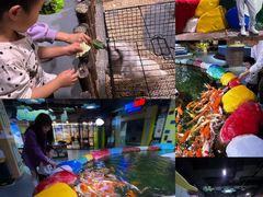 -顺德南宏海立方海洋公园