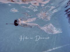 -上海潜殿潜水中心