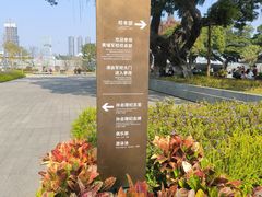-长洲岛