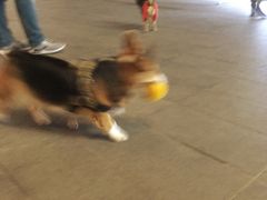 -金融街·静安中心