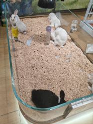 -小象动悟公园(龙湖亦庄天街店)