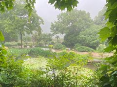 -中国茶叶博物馆(双峰馆区)