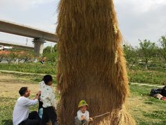 -秀丽东方