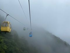 -东天目山风景区