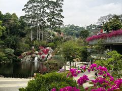 -点都德(广州白云山景区南门店)