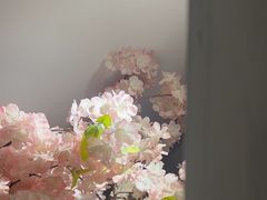 -毛辣果·贵州红酸汤牛肉火锅(西单店)