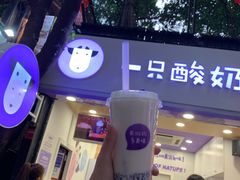 门面-一只酸奶牛(八一路店)