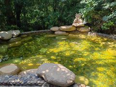 -天目湖涵田半山温泉