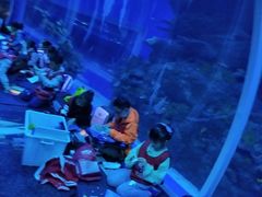 -成都浩海立方海洋公园