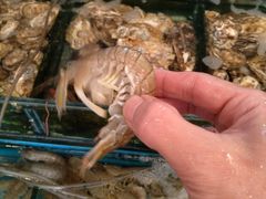 -小铜锣湾海鲜家常菜馆(河西店)