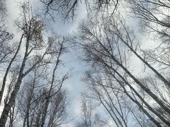 -道须沟旅游风景区