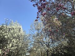 -陕西师范大学(雁塔校区)