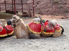 -天山神秘大峡谷