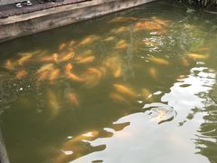 -枫香湖儿童公园