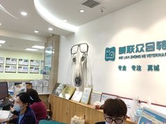 -美联众合动物医院·24h转诊中心