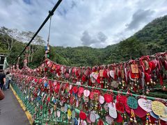 -西双版纳原始森林公园