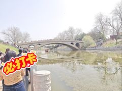 -赵州桥景区