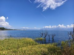 -洱海月湿地公园