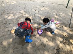 -上海佘山世茂艾美酒店
