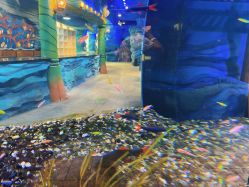 -酷嗒动物文化乐园(cutezoo西溪乐天城店)