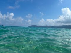 -亚龙湾海底世界