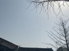 -观潮胜地公园