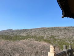 -灵谷景区