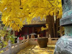 -红螺寺