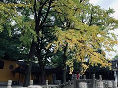 -西园戒幢律寺