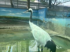 -成都动物园