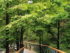 -白水寺森林公园