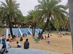 -宝安西湾红树林湿地公园