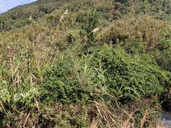 -梅岭月亮湾山体公园