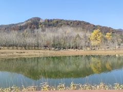 -千年银杏谷文化旅游区
