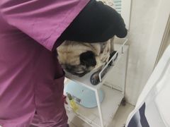 -酷宠动物医院(天通西苑店)