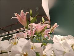 -南堂馆·新川菜(春熙路店)