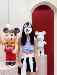 -IP SALON