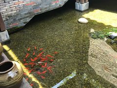 -几荷·恰似故人来(秀水广场店)