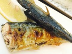 真剑(贵州路店)-真剑日本料理·铁板烧(贵州路店)