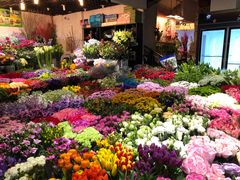 -双季花艺园艺市场(浦东店)