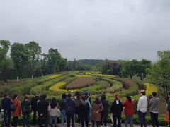 -铁山坪森林公园