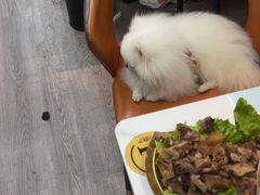 -刘少华贵州小黄牛·鲜牛肉火锅(总店)