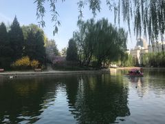-团结湖公园