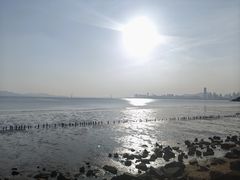 -深圳湾公园(南山区)