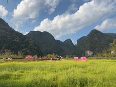 -靖西鹅泉风景区