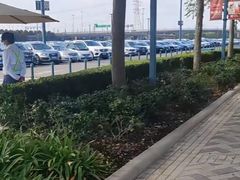 -迪士尼乐园停车场