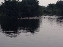 iphone_upload_pic-乡乐园蟹庄·阳澄湖农家乐