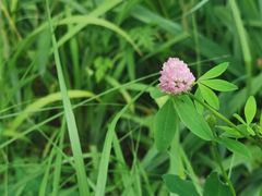 -木守西溪溪隐餐厅